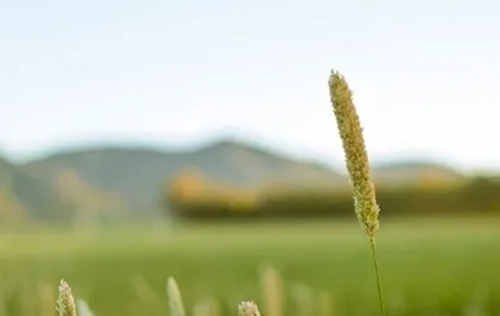 理解天干與地支 理解天干與地支