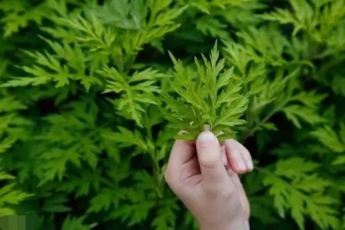 名字鑒定(一) 名字鑒定(一)